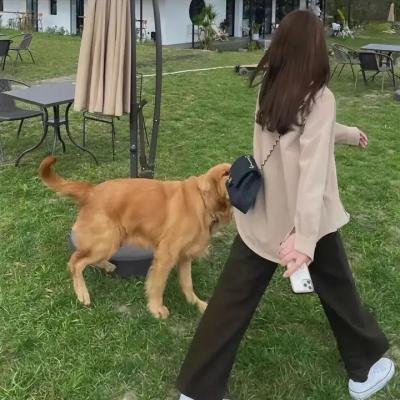 狼牙英雄